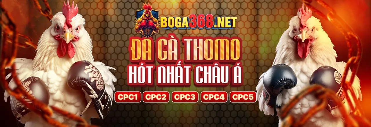 Sân chơi đá gà trực tuyến w69 bet