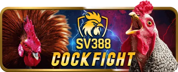 Khuyến mãi thể thao w69 bet